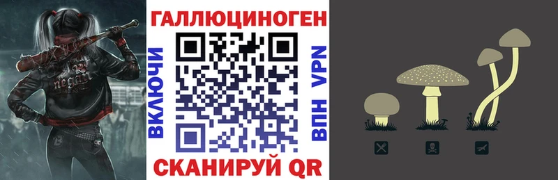 Галлюциногенные грибы Psilocybe  Купить  Высоцк 